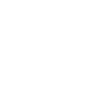 Logo vertical do Conceito Voz